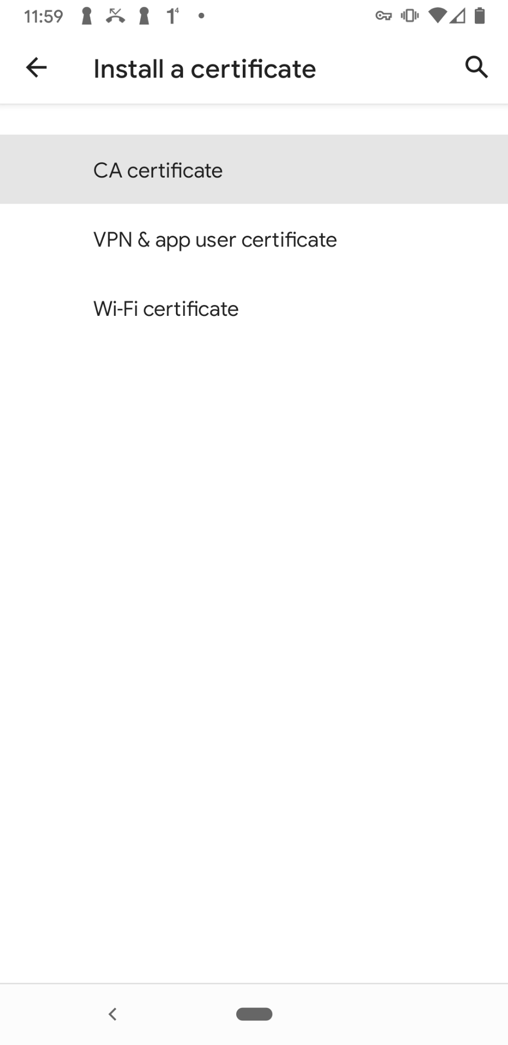 Android <strong>Install a certificate</strong>* screen