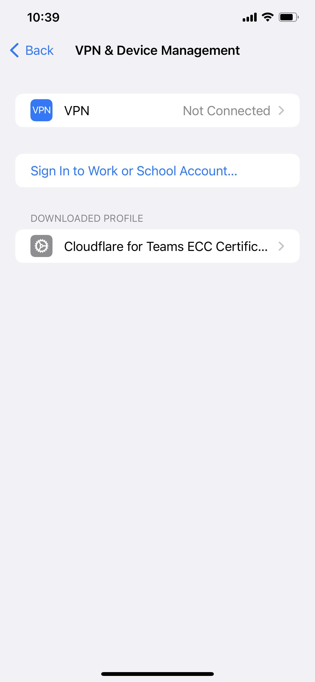 iOS screen for viewing certificate profile