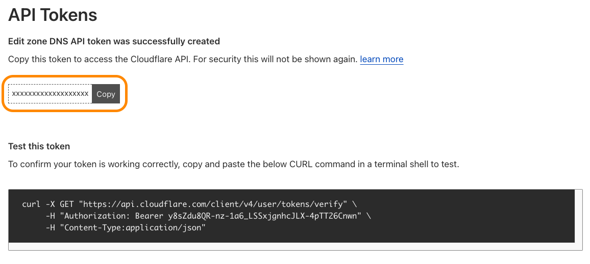 Token creation completion screen displaying your API token and the <code>curl</code> command to test your token